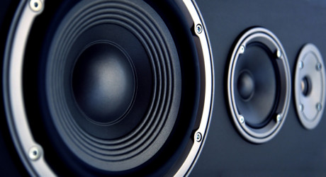 Speaker woofer